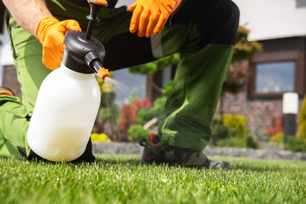 Best Local Pest Control Services  in Buchanan, MI